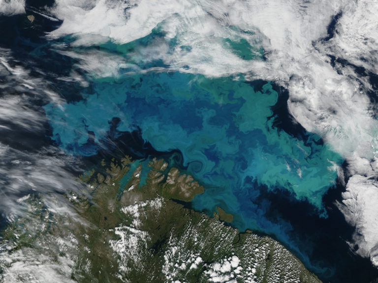 Phytoplankton bloom in the Barents Sea captured August 14, 2011.

Credit: NASA/GSFC/Jeff Schmaltz/MODIS Land Rapid Response Team

NASA Goddard Space Flight Center enables NASA’s mission through four scientific endeavors: Earth Science, Heliophysics, Solar System Exploration, and Astrophysics. Goddard plays a leading role in NASA’s accomplishments by contributing compelling scientific knowledge to advance the Agency’s mission.

Follow us on Twitter

Like us on Facebook

Find us on Instagram