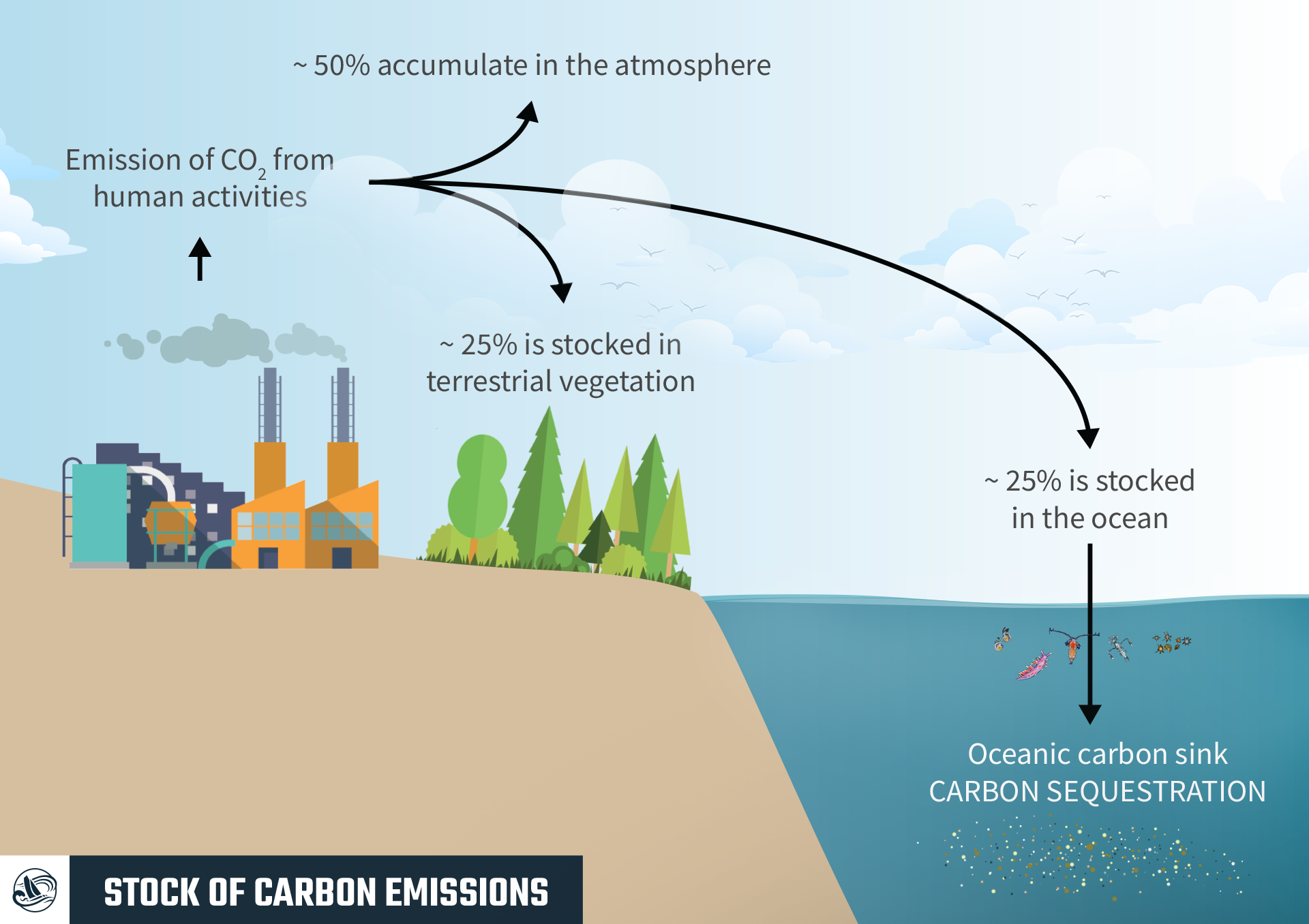 Stock of carbon emissions Iodysseus